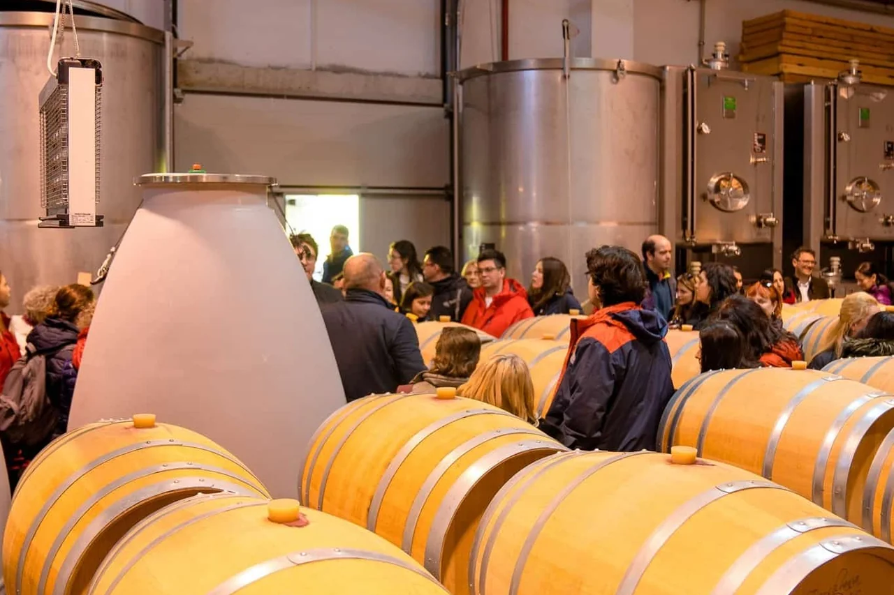 Drumeție ușoară la Năeni și degustare de vin
